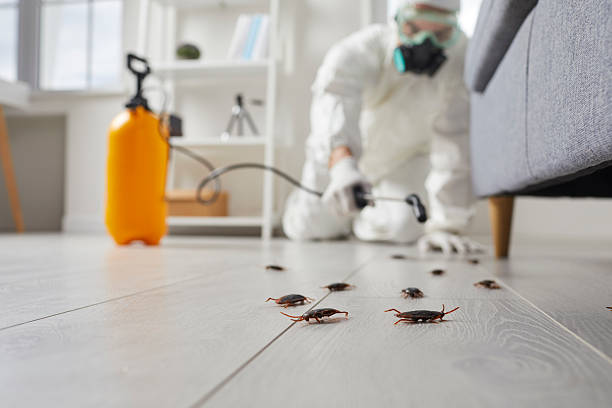 Commercial Kitchen Cockroach Control in Muleshoe